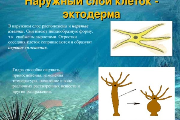 Kraken зеркало официальный