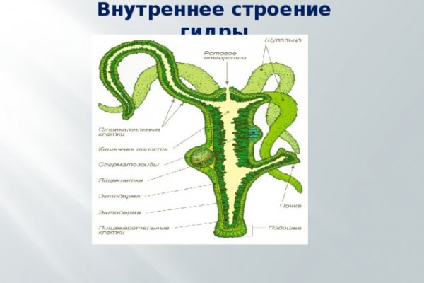 Сайт онион kraken